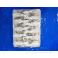 Hot sale Top class baby squid Loligo Japonica